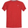 Vêtements Homme T-shirts manches courtes Tommy Jeans DM0DM10101 Rouge