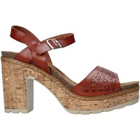 Chaussures Femme Sandales et Nu-pieds Refresh 72690 Marron