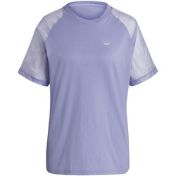 Vêtements Femme T-shirts manches courtes adidas Originals GN8075 Violet