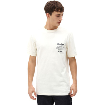Vêtements Homme T-shirts manches courtes Dickies DK0A4X9NECR1 Blanc