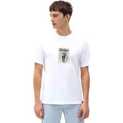 Vêtements Homme T-shirts manches courtes Dickies DK0A4X9IWHX1 Blanc