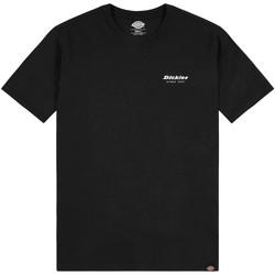 Vêtements Homme T-shirts manches courtes Dickies DK0A4X9JBLK1 Noir