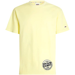 Vêtements Homme T-shirts manches courtes Tommy Jeans DM0DM10271 Vert