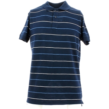 Vêtements Homme T-shirts & Polos City Wear THMR5171 Bleu