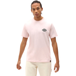 Vêtements Homme T-shirts manches courtes Dickies DK0A4XENLPI1 Rose