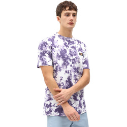 Vêtements Homme T-shirts manches courtes Dickies DK0A4X9PB651 Violet