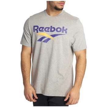 Vêtements Homme T-shirts manches courtes Spodnie Reebok Sport CL V Tee Gris