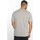 Vêtements Homme T-shirts manches courtes Reebok Sport CL V Tee Gris