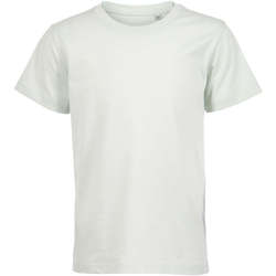 Vêtements Enfant T-shirts manches courtes Sols Camiseta de niño con cuello redondo Vert