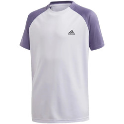 Vêtements Garçon T-shirts manches courtes adidas printable Originals FK7155 Violet