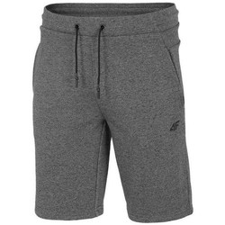 Vêtements Homme Shorts / Bermudas 4F SKMD014 Gris