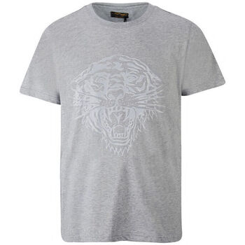 Vêtements Homme T-shirts manches courtes Ed Hardy - Tiger glow t-shirt mid-grey Gris