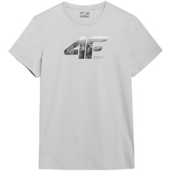 Vêtements Homme T-shirts manches courtes 4F TSM024 Gris