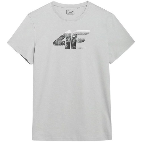 Vêtements Homme T-shirts favourites manches courtes 4F TSM024 Gris