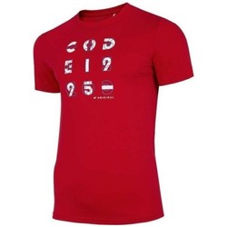 Vêtements Homme T-shirts manches courtes 4F TSM018 Rouge