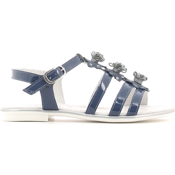 Chaussures Fille Sandales et Nu-pieds NeroGiardini P631370F Bleu