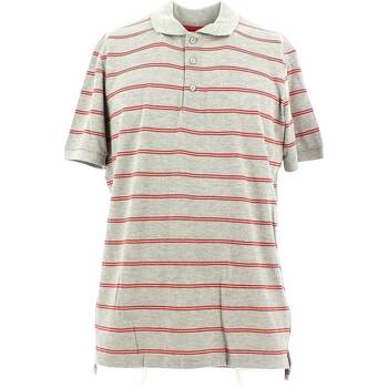 Vêtements Homme T-shirts & Polos City Wear THMR5201 Gris