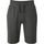 Vêtements Homme Flap Shorts / Bermudas Dare 2b Continual Gris