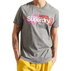 Vêtements Homme T-shirts manches courtes Superdry 168643 Gris
