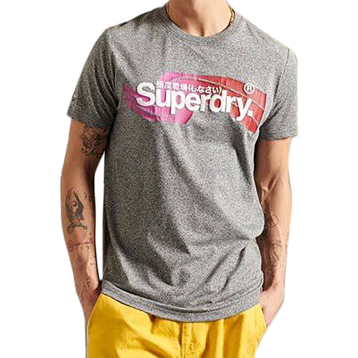 Vêtements Homme T-shirts manches courtes Superdry Tee-Shirt Cali Gris