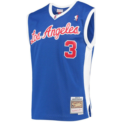 Vêtements Lampes à poser Mitchell And Ness Maillot NBA Quentin Richardson Multicolore