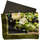 Accessoires textile Femme Echarpes / Etoles / Foulards Alberto Cabale Grand carré de Soie Apple India Zoé Vert Vert