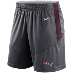 Vêtements Homme Shorts / Bermudas Nike Short NFL New England Patriots Multicolore