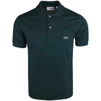 Vêtements Homme Polos manches courtes Lacoste Polo homme  ref 53440 SD4 vert sapin Vert