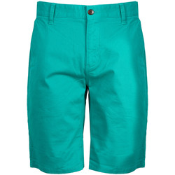 Vêtements Homme Shorts / Bermudas slide Tommy Hilfiger  Vert