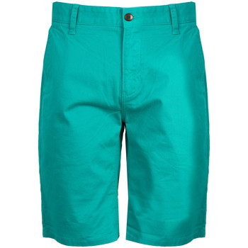 Vêtements Homme Shorts / Bermudas slide Tommy Hilfiger  Vert