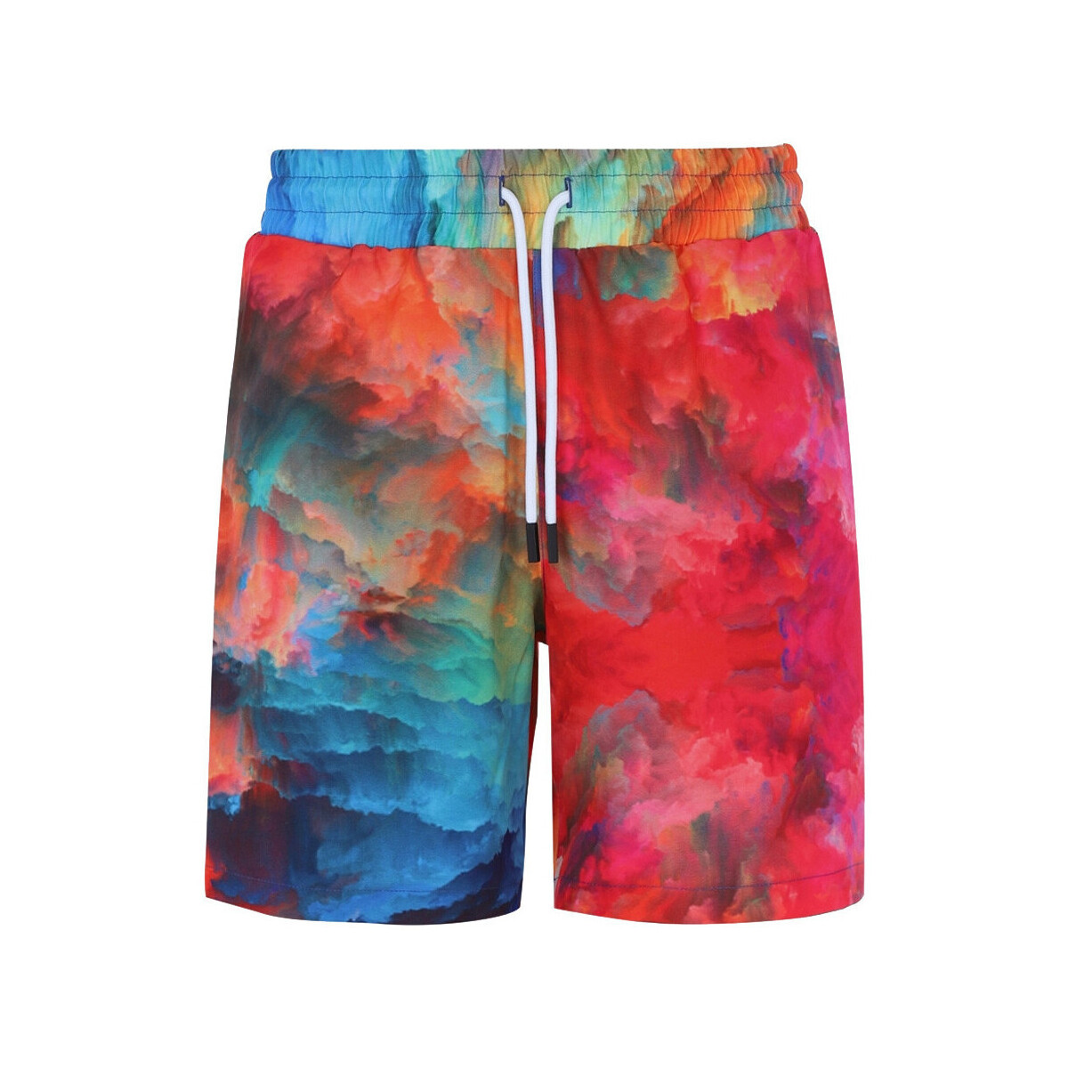 Vêtements Homme Maillots / Shorts de bain Horspist Gemini Multicolore