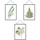Maison & Déco Stickers Cadoons Autocollant Mural cadres Herbiers Blanc