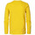 Vêtements Enfant T-shirts manches courtes Salewa Petrol Industries Tee ten shirt junior  jaune - 10 ANS Jaune
