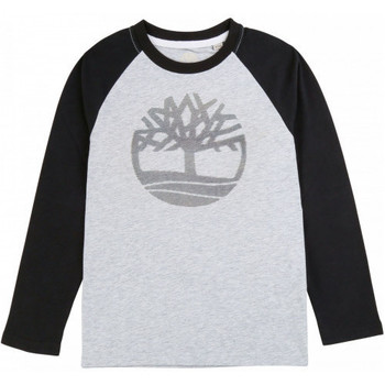 Vêtements Enfant timberland mt lafayette warm water resistant sailo Timberland Tee-shirt junior  raglan gris et noir - 10 ANS Gris