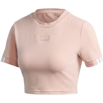 Vêradial Femme T-shirts & Polos adidas Originals Cropped Tee Rose