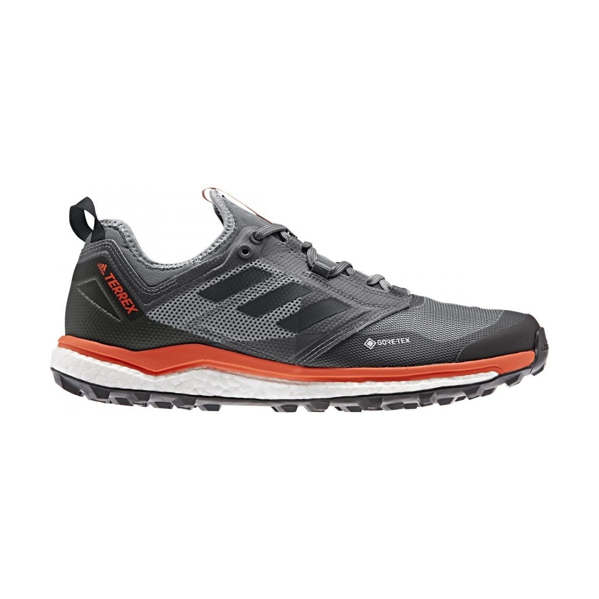 Chaussures Homme Running / trail adidas Originals Terrex Agravic Xt Gtx Gris