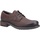 Chaussures Homme Derbies Cotswold Brookthorpe Multicolore