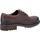 Chaussures Homme Derbies Cotswold Brookthorpe Multicolore