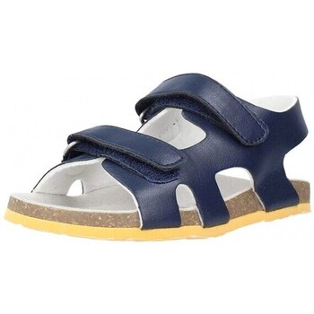 Chaussures Sandales et Nu-pieds Chicco 25449-15 Bleu