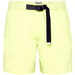 Vêtements Homme Shorts / Bermudas slide Tommy Jeans DM0DM10134 Vert
