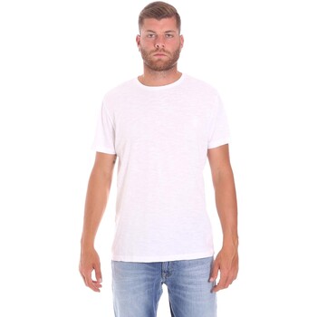 Vêtements Homme T-shirts manches courtes Lumberjack CM60343 021EU Blanc