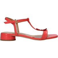 Chaussures Femme Sandales et Nu-pieds Grace Coloured Shoes 971002 Rouge