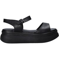 Chaussures Femme Sandales et Nu-pieds Sshady L2212 Noir