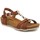 Chaussures Femme Sandales et Nu-pieds Carla Tortosa 27101 Marron