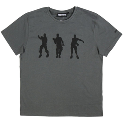 Vêtements Homme T-shirts manches courtes Fortnite 2200005063 Gris