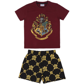 Vêtements Metal Pyjamas / Chemises de nuit Harry Potter 2200006993 Rouge