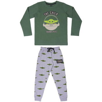 Vêtements Enfant Pyjamas / Chemises de nuit Disney 2200007123 Vert