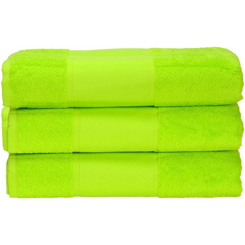 Maison & Déco Serviettes et gants de toilette A&r Towels 50 cm x 100 cm RW6036 Vert