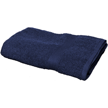 Maison & Déco Serviettes et gants de toilette Towel City RW1578 Bleu