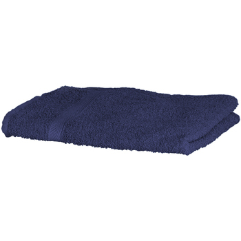 Maison & Déco Serviettes et gants de toilette Towel City RW1576 Bleu